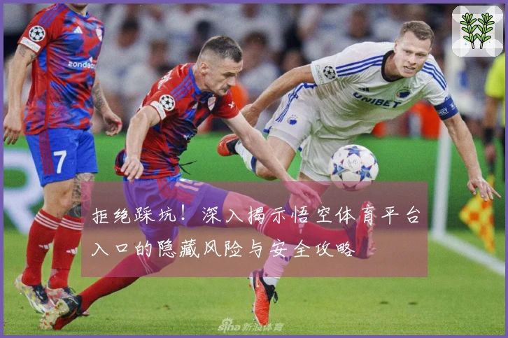 拒绝踩坑！深入揭示悟空体育平台入口的隐藏风险与安全攻略